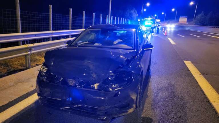 Κοζάνη: Αυτοκίνητο συγκρούστηκε με αρκούδα στην Εγνατία Οδό [εικόνες - βίντεο]