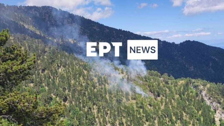 Φωτιά στον Όλυμπο: Καίει σε δύσβατη περιοχή στην Καρυά Ελασσόνας