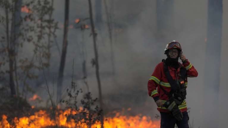Η Πορτογαλία δοκιμάζεται από καύσωνα 44 βαθμών και πυρκαγιές - 3.000 πυροσβέστες δίνουν μάχη