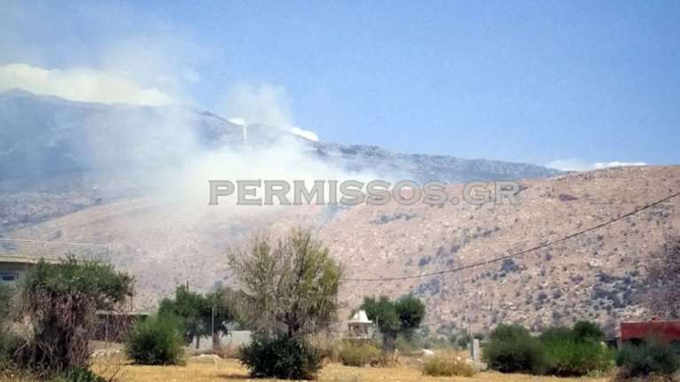 Φωτιά στον Πρόδρομο Βοιωτίας: Σηκώθηκαν 4 εναέρια μέσα, μήνυμα 112 "παραμείνετε σε ετοιμότητα"