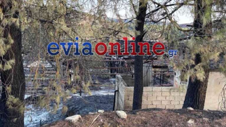 Φωτιά στην Εύβοια: Εικόνες από τα αποκαΐδια που άφησε πίσω της η καταστροφική πυρκαγιά [βίντεο]