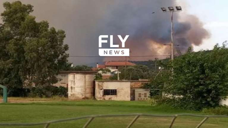 Μαίνεται η φωτιά στη Λακωνία: Μεγάλο μέτωπο από το Λυκοβουνό προς Δαφνί - Μάχη να μην φθάσουν οι φλόγες στα σπίτια