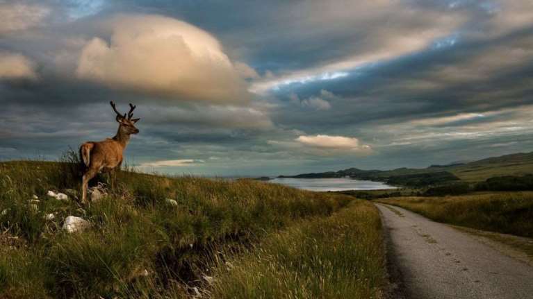 Στο σκωτσέζικο νησί Jura τα πάντα περιστρέφονται γύρω από το ουίσκι