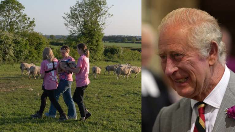 Βασιλιάς Κάρολος: &quot;Έσωσα τα αρνιά του Βασιλιά&quot; - Ακτιβίστριες έκλεψαν τρία αρνιά από το κτήμα Σάντριγχαμ [Εικόνες - Βίντεο]