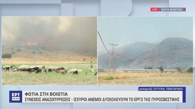 Φωτιά στη Βοιωτία: Μεγάλη αναζωπύρωση στην περιοχή Βάγια - Απεγκλωβίστηκαν πατέρας και γιος από κτηνοτροφική μονάδα