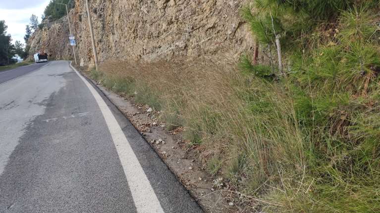 Εδώ έγινε το φονικό στον Βόλο: Ο 50χρονος είπε ότι έχει βλάβη το αυτοκίνητο και οδήγησε τον 33χρονο σε ερημικό δρόμο [εικόνες]