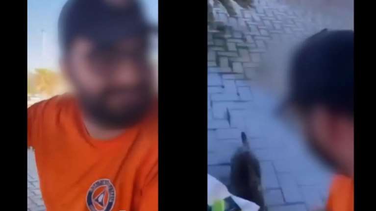 Κακοποίηση γάτας στη Θάσο: &quot;Καμία σχέση με την Πολιτική Προστασία το άτομο που εμφανίζεται σε βίντεο&quot;