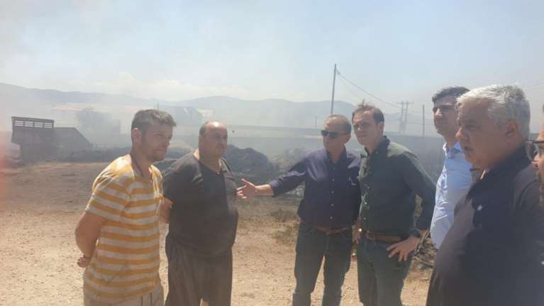 Στα καμένα της Μαγνησίας κλιμάκιο του ΠΑΣΟΚ: Άμεσα να αποζημιωθούν όλοι όσοι επλήγησαν από τη φωτιά