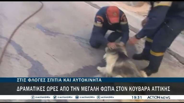 Η εικόνα της ημέρας: Πυροσβέστες παρηγορούν τον σκύλο που μόλις έσωσαν από τις φλόγες [Βίντεο]