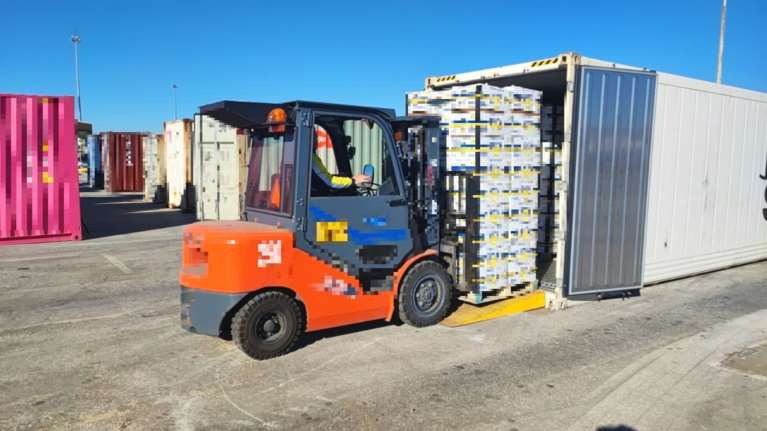 Πειραιάς: Κατασχέθηκαν 91 κιλά κοκαΐνης, αξίας 4 εκατομμυρίων ευρώ, μέσα σε φορτίο με... μπανάνες [εικόνες - βίντεο]