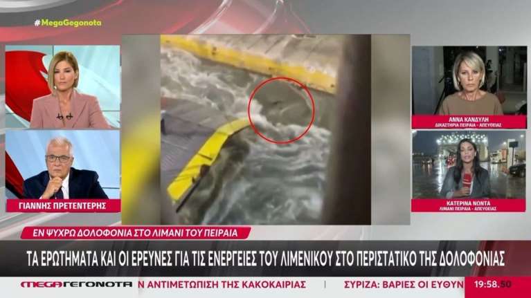 Blue Horizon: Ξέσπασε η Ράνια Τζίμα - &quot;Εικόνα απόλυτης διάλυσης - Δεν ξέρει κανείς πού είναι οι λιμενικοί&quot; [Βίντεο]