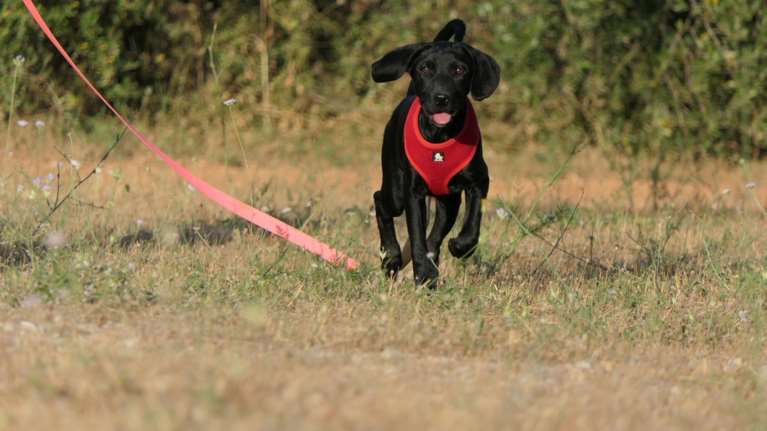 Η Πέπερ: Οσοι θέλετε μπορείτε να γίνετε μέλη της ομάδας της - Οι εκατομμύρια λόγοι για να την επιλέξετε
