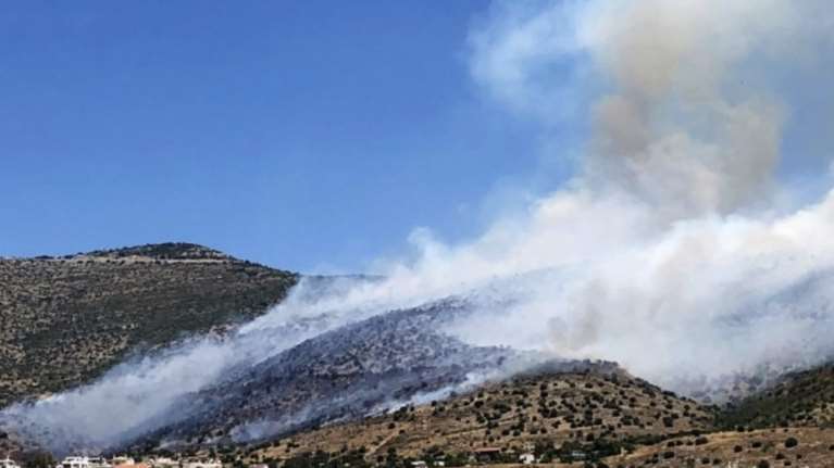 Λάρισα: Φωτιά σε δασική έκταση στο Κυψελοχώρι - Επιχειρούν επίγειες και εναέριες δυνάμεις