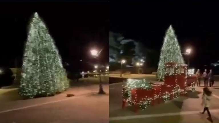 Το πιο &quot;πράσινο&quot; δέντρο της Ελλάδας βρίσκεται στη Σκιάθο- Έχει 60.000 αυτόνομα φωτοβολταϊκά λαμπάκια