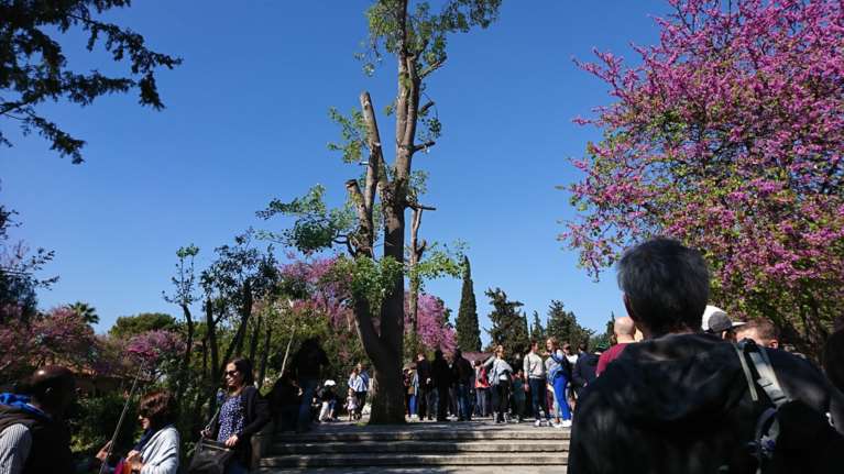 Ανοιξιάτικος ο καιρός: Ανοδος τη θερμοκρασίας και αφρικανική σκόνη - Πού θα φτάσει ο υδράργυρος