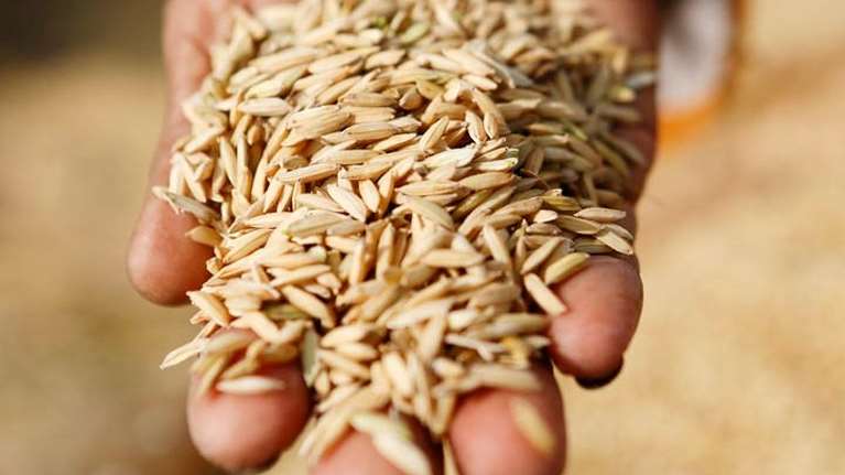 Οι ΥΠΕΞ της ΕΕ συζητούν για τους 20 εκατ. τόνους σιτηρών που παραμένουν αποκλεισμένοι στα λιμάνια της Ουκρανίας