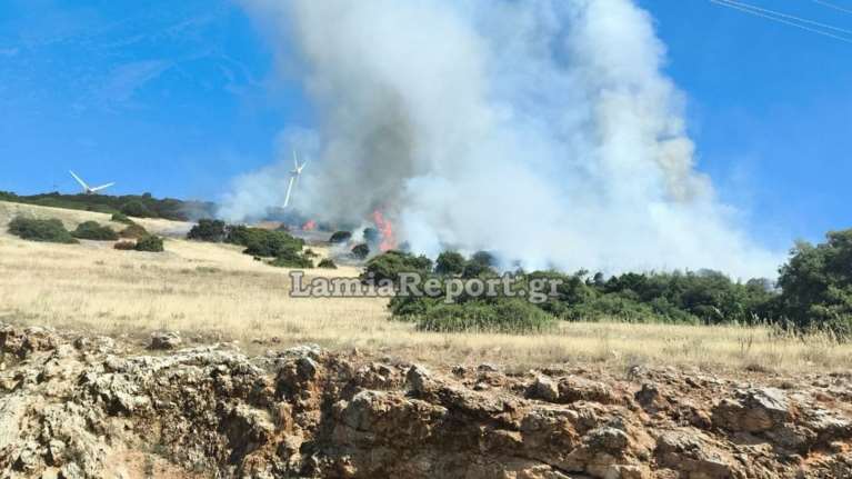 Πυρκαγιά σε δάσος στη Φωκίδα - Σηκώθηκαν εναέρια μέσα