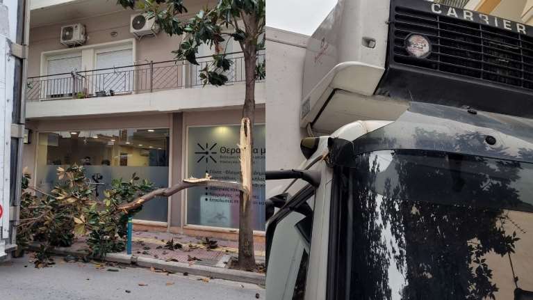 Λάρισα: Πανικό σκόρπισε φορτηγό στο κέντρο της πόλης, ξήλωσε δέντρο στο πέρασμά του [Εικόνες-Βίντεο]