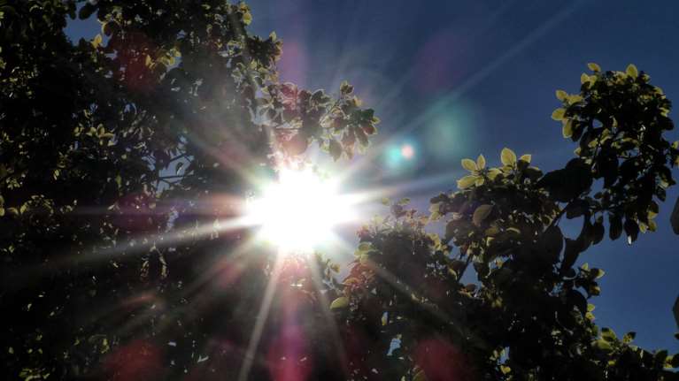 Καιρός:  Ήπιος και ζεστός με λίγες νεφώσεις - Πού θα φθάσει τους 20 βαθμούς η θερμοκρασία