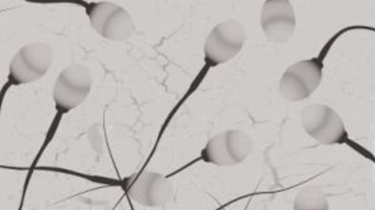 Ο κορονοϊός δεν ανιχνεύεται στο ανθρώπινο σπέρμα