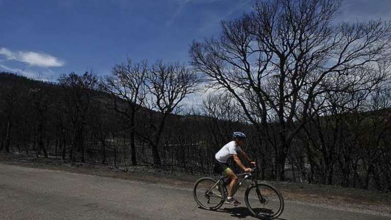 Τρόμος στο Πήλιο: Ποδηλάτης δέχτηκε επίθεση από αγέλη σκύλων την ώρα που βρισκόταν στο βουνό