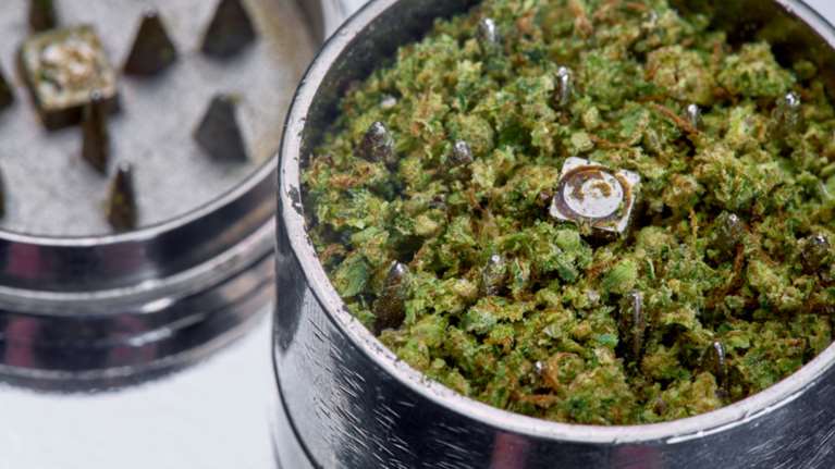 Θεσσαλονίκη: Επένδυση 6 εκατ. ευρώ από Ισραηλινούς επενδυτές για παραγωγή βιομηχανικής κάνναβης