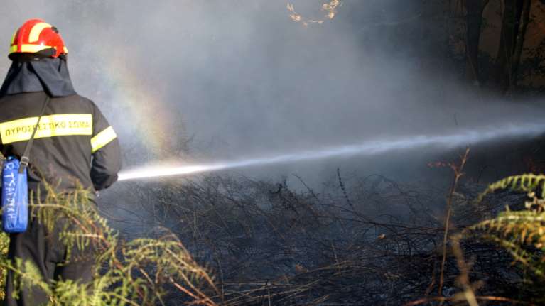 Δασική πυρκαγιά στο Κυριάκι Βοιωτίας - Επιχειρούν 18 πυροσβέστες με 9 οχήματα