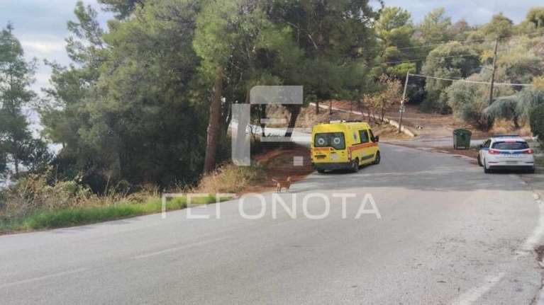 Βόλος: Νεκρός ο 40χρονος που επιτέθηκε με ψαροντούφεκο στον πατέρα του - Πήδηξε από τον γκρεμό με το μηχανάκι