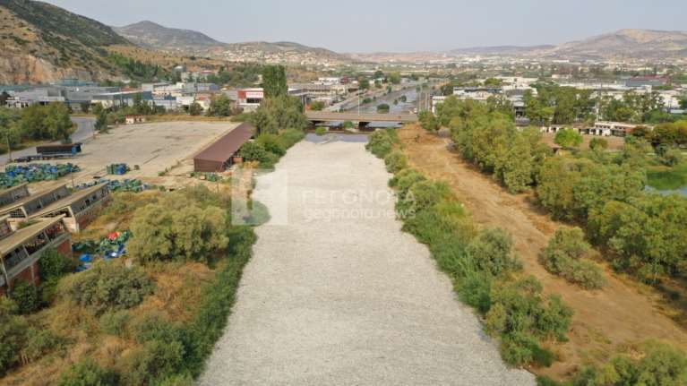 Απίστευτες εικόνες στον Βόλο: &quot;Θάλασσα&quot; από νεκρά ψάρια στον χείμαρρο Ξηριά - Κοκκίνισε το νερό από το αίμα τους [εικόνες-βίντεο]