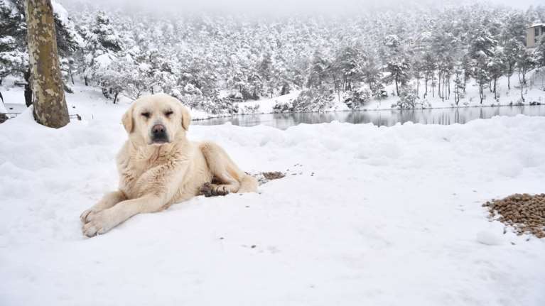 Έκτακτο δελτίο επιδείνωσης του καιρού για το Σαββατοκύριακο: Χιόνια σε 13 περιοχές – Τι θα γίνει στην Αττική