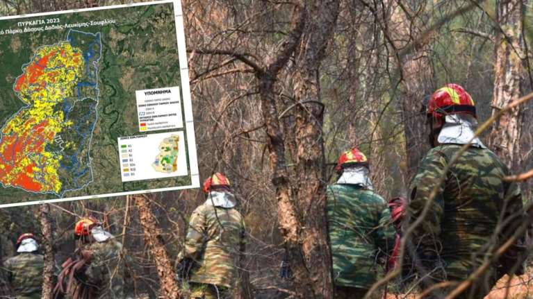 Έβρος: Δραματική η αποτίμηση για τη Δαδιά - Στάχτη 245.299 στρέμματα, 57,74% η καμένη έκταση - Χάρτης με τη σφοδρότητα της φωτιάς