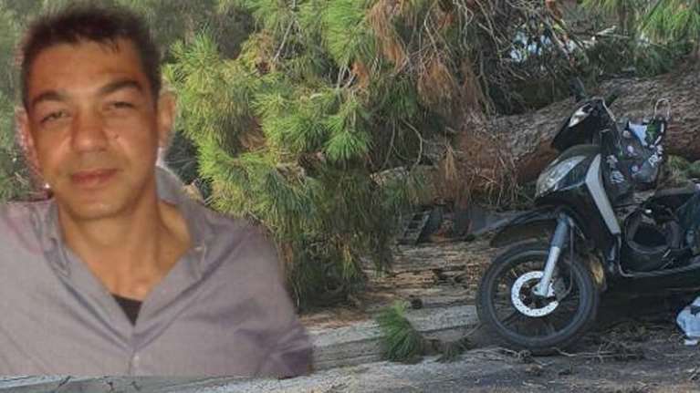 Παρέμβαση εισαγγελέα για τον θάνατο του 51χρονου από πτώση δέντρου στο Ηράκλειο - &quot;Θα κινηθούμε νομικά&quot;, λέει ο γιος του