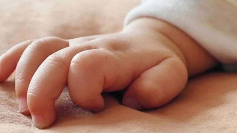 Φρίκη στη Θεσσαλονίκη: Νεκρό έμβρυο εντοπίστηκε σε κάδο απορριμμάτων