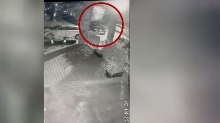 Νέα Ιωνία: Βίντεο ντοκουμέντο - 69χρονη πέταξε στα σκουπίδια 4 κουταβάκια - Της επιβλήθηκε πρόστιμο 120.000 ευρώ