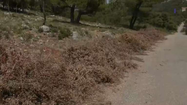 Αττική: &quot;Βραδυφλεγείς βόμβες&quot; τα ακαθάριστα οικόπεδα - Έως τις 30 Ιουνίου η προθεσμία - Μεγάλος ο κίνδυνος πυρκαγιάς