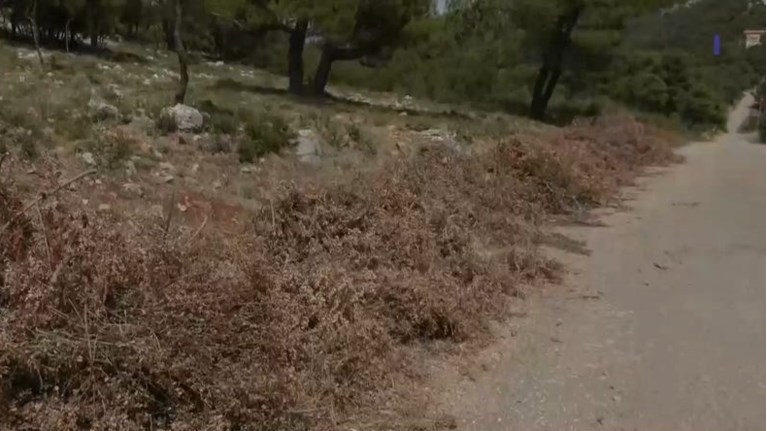 ΑΚΑΘΑΡΙΣΤΑ ΟΙΚΟΠΕΔΑ