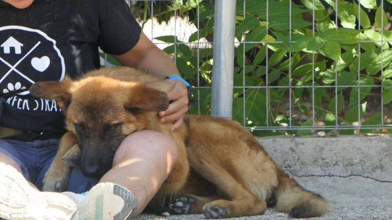 &quot;Είμαστε φίλοι ε;&quot;:  Ο Εντι αντιμετωπίζει τους πάντες και τα πάντα με αυτό το στιλ