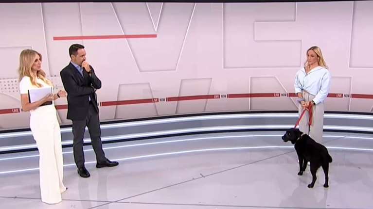 &quot;Δεν είναι κατοικίδιο, είναι τα μάτια μου&quot;: Η συγκλονιστική κατάθεση ψυχής της παραολυμπιονίκη Καρολίνας Πελενδρίτου