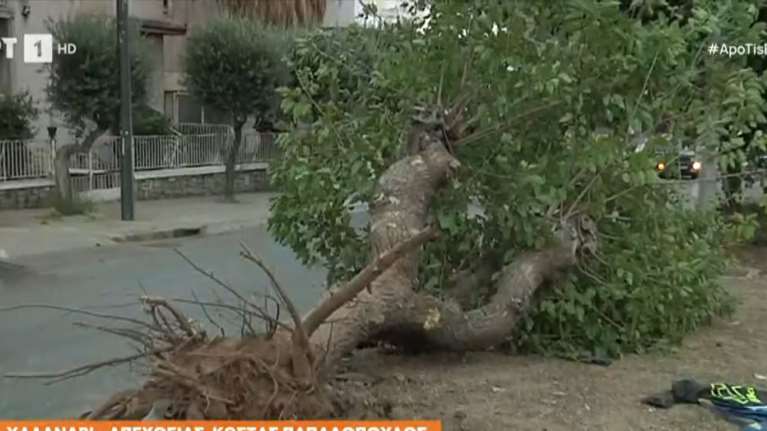 Σοβαρό τροχαίο στο Χαλάνδρι: ΙΧ "καρφώθηκε" σε δέντρο - Χωρίς τις αισθήσεις του ανασύρθηκε ο 20χρονος οδηγός