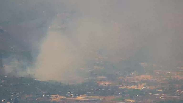 Συναγερμός στην Εύβοια: Ξέσπασε φωτιά που καίει ελιές και χαμηλή βλάστηση βόρεια των Ψαχνών - Επιχειρούν εναέρια μέσα