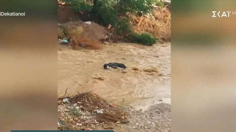 Κακοκαιρία Daniel: Η σοκαριστική στιγμή που άνδρας παρασύρθηκε από ρέμα στο Μενίδι [Βίντεο]