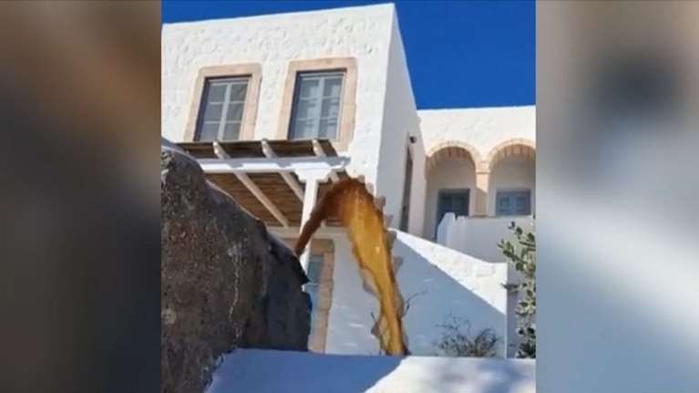 Σοκαριστικές εικόνες στην Πάτμο: Εκτός λειτουργίας ο Βιολογικός, τα λύματα καταλήγουν στη θάλασσα και στις βρύσες σπιτιών [βίντεο]