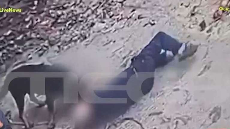 Μεσσηνία: Βίντεο ντοκουμέντο από την επίθεση του σκύλου στον ιδιοκτήτη του - Ο 76χρονος ζήτησε από τον αστυνομικό να πυροβολήσει το ζώο