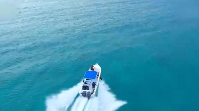 Survivor: Πώς ήταν και τι έλεγαν οι 4 τελικοί φιναλίστ όταν μπήκαν στο ριάλιτι