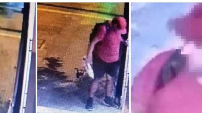 Θεσσαλονίκη: Επικήρυξη 3.000 ευρώ από φιλοζωική για τον ασυνείδητο που ποδοπάτησε μέχρι θανάτου το γατάκι