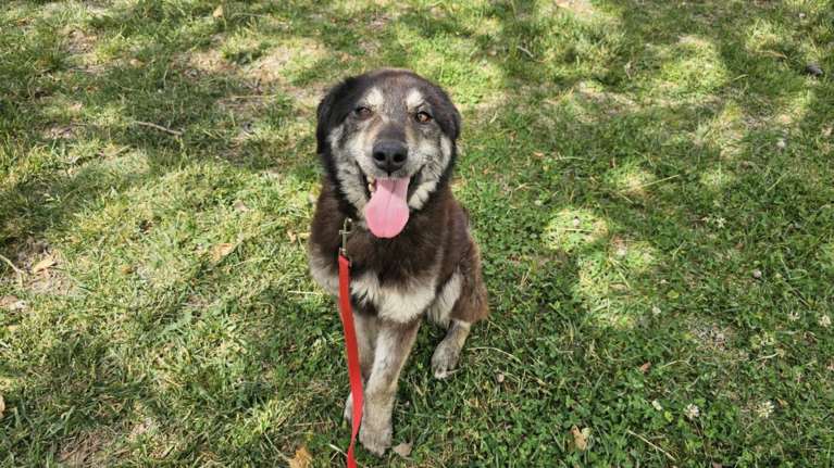 Θα ερωτευτείτε όπως ερωτευτήκαμε και εμείς, αλλά αλήθεια θα ε ρ ω τ ε υ τ ε ί τ ε