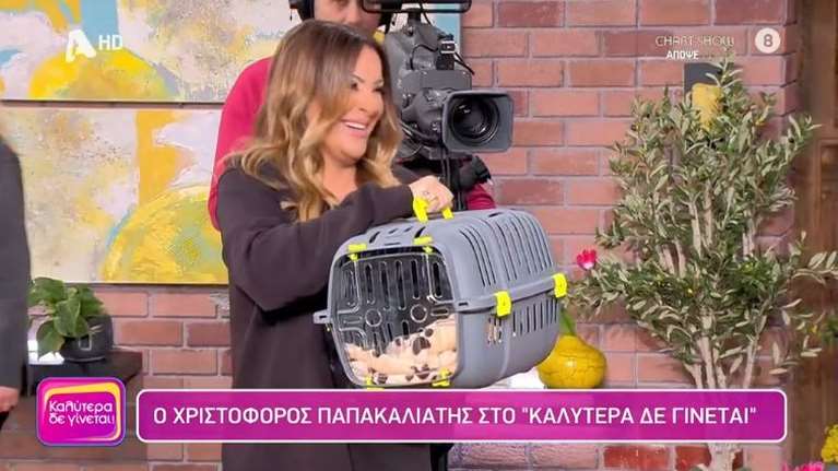 Ναταλία Γερμανού: &quot;Κράξιμο&quot; στο Twitter για τη γάτα που χάρισε στον Παπακαλιάτη - Η αντίδρασή του και η συγγνώμη