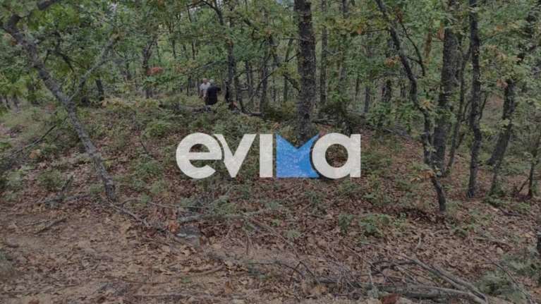 Τραγωδία στην Εύβοια: 35χρονος δασεργάτης καταπλακώθηκε από δέντρο [εικόνες]