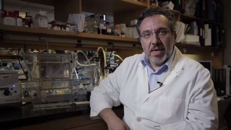 Κορονοϊός - Καθηγητής Ηλιόπουλος (Χάρβαρντ): Δεν γνωρίζουμε ούτε ένα περιστατικό επαναλοίμωξης