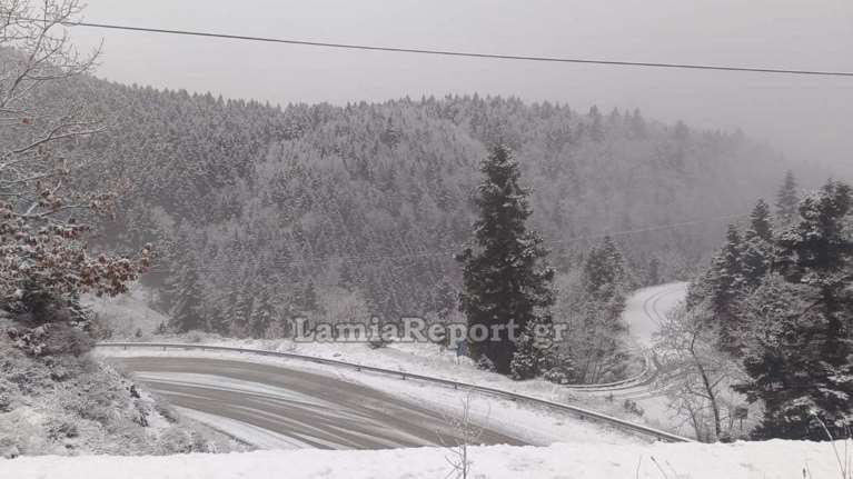 Στα &quot;λευκά&quot; Φθιώτιδα και Ευρυτανία - Πού το έστρωσε για τα καλά και χρειάζονται αλυσίδες οι οδηγοί [εικόνες -βίντεο]